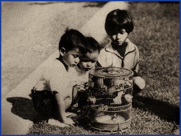 548819_341040302643634_871937887_n