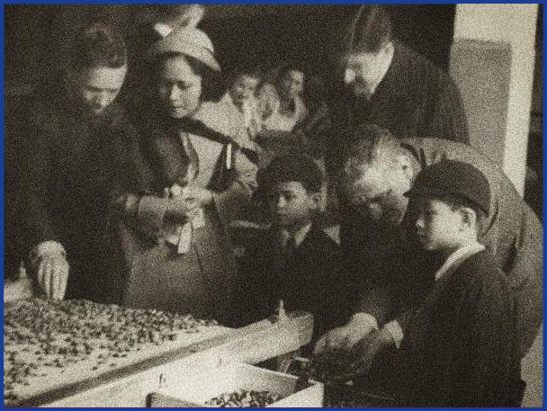 602414_341040949310236_1043696356_n